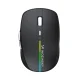 Belaidė pelė Wozinsky WMGK-1132 su RGB apšvietimu, juoda