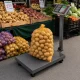 Platforminės svarstyklės su LCD ekranu, 100 kg, pilkos