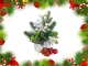 Christmas Table Centerpiece, Decoration