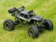 Radijo bangomis valdomas automobilis Case RC Rock Crawler 1:8, 51cm, juodas