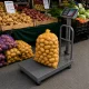 Elektroninės platforminės svarstyklės su atlošu 100kg LCD, pilkos