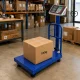 Elektroninės platforminės svarstyklės su atrama, 100 kg, LCD, mėlynos