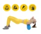 4FIZJO PENTAGRAM Yoga Massage Fitnes Pilates Foam Grid Roller 45cm, Blue