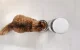 Petoneer NutriVue Smart Pet Feeder PF008 with 1080p Camera & App Control
