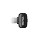 Belaidžiai mikrofonai BOYA mini 2-01 2.4GHz USB-C, juodi