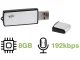 Slaptas mini diktofonas USB atmintinė 8GB, sidabrinis