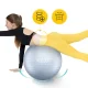 4FIZJO Reh Ball 55 cm Exercise Ball with Pump, Grey