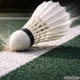 Plunksniniai badmintono sviedinukai, 3 vnt., balti