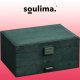 Jewelry Display Box Storage Organizer Case, Green