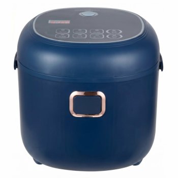 Automobilinis puodas ir ryžių virimo aparatas 12V/24V, 2L