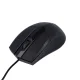 Maxlife MXHM-01 optinė kompiuterinė pelė 1000 DPI 1.2m, juoda
