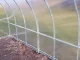 Šiltnamis KLASIKA TUBE 3x2 m (6 m²) su 6 mm polikarbonatu ir pamatu