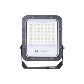 LED prožektorius Forever Light PROXIM+ 30W 6500K 4500lm IP65, juodas