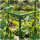 Plant Stake Connectors 11mm Type 3 Plonos PL-941 4pcs, green