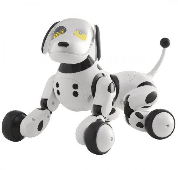 RC žaislai ir robotai