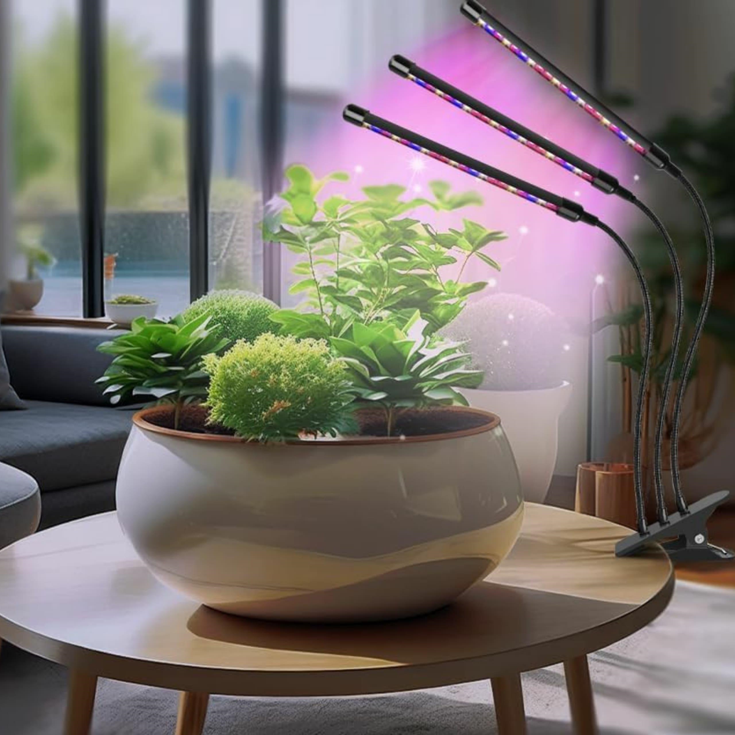 Grow Light for Indoor Plants Full Spectrum LED Plant Light