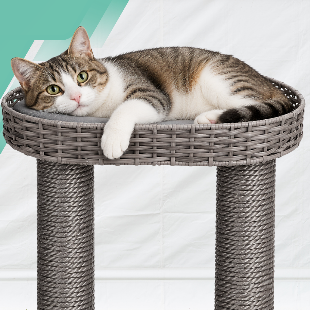 Karlie Nicky Outdoor draskyklė katėms su nameliu ir platforma 77 x 57 x 110 cm