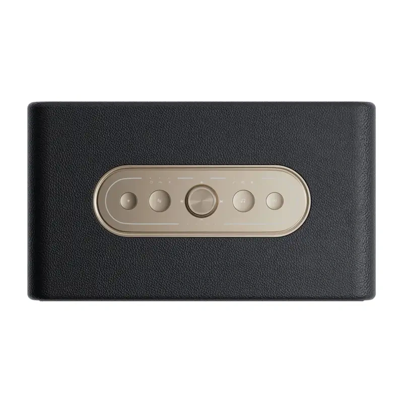 Belaidė nešiojama kolonėlė QCY SP300 40W, juoda
