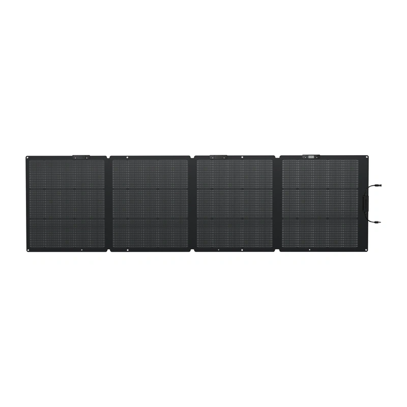 EcoFlow 220W nešiojamas saulės modulis