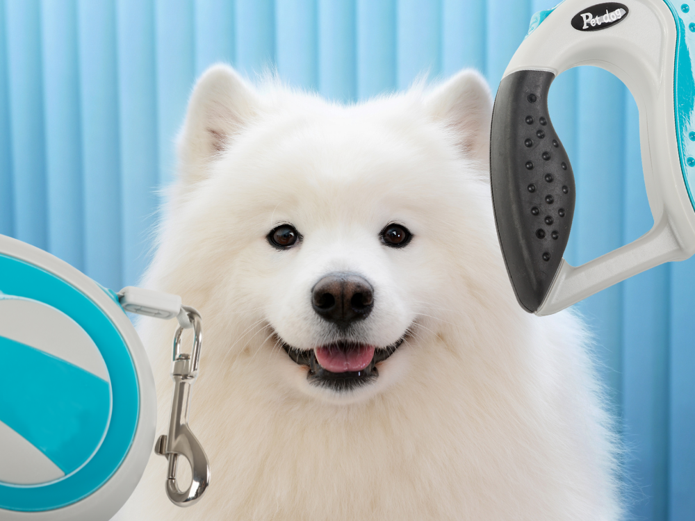 Retractable Dog Leash, 5m, Up to 20kg, Blue