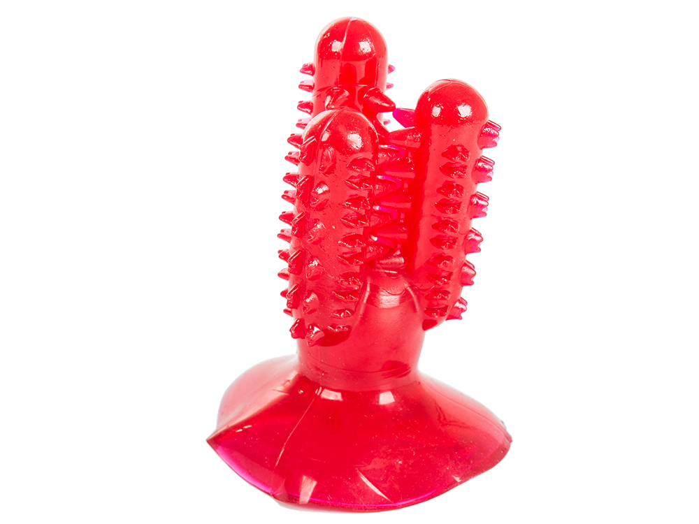 Cactus Dog Chew Toy and Toothbrush for Dental Care