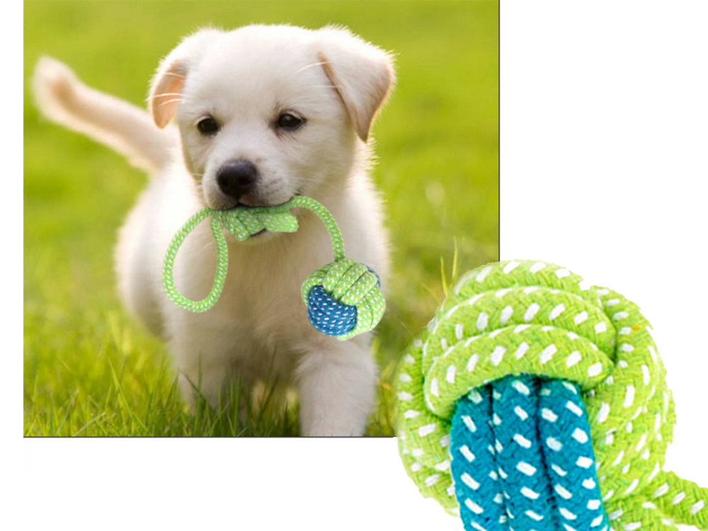 Durable Dog Rope Toy with Ball for Tugging and Chewing