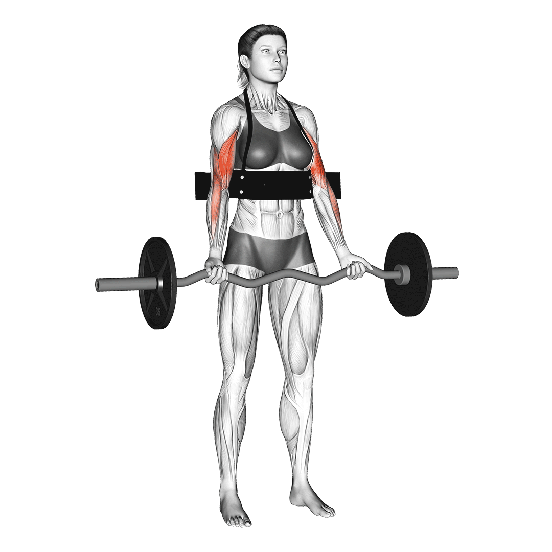 Bicepsų treniruoklis 4Fizjo Arm Blaster, juodas