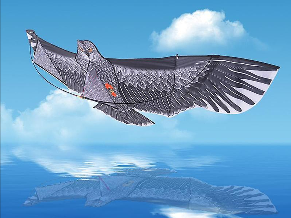Flying Kite Eagle, 200cm
