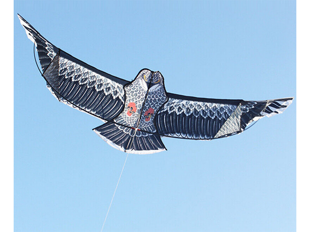 Flying Kite Eagle, 200cm
