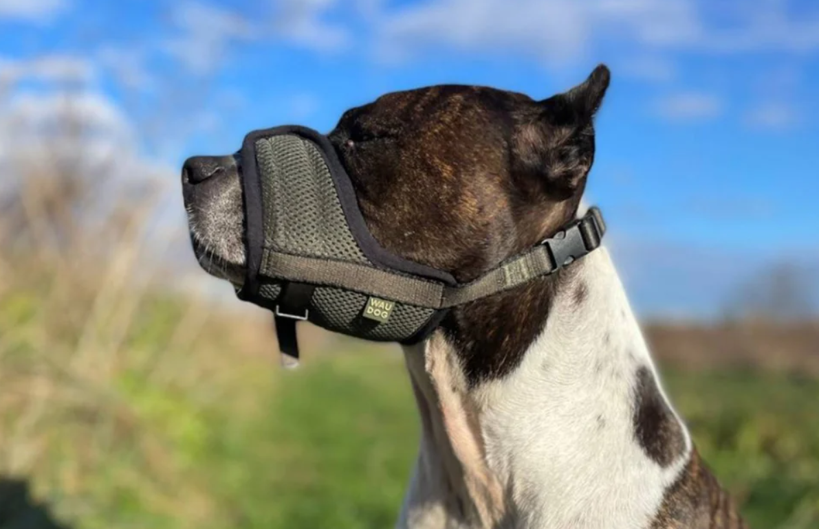 Mesh dog muzzle Waudog Pro S